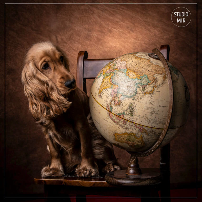 animaux-portrait-studio-mir-00061-768x768