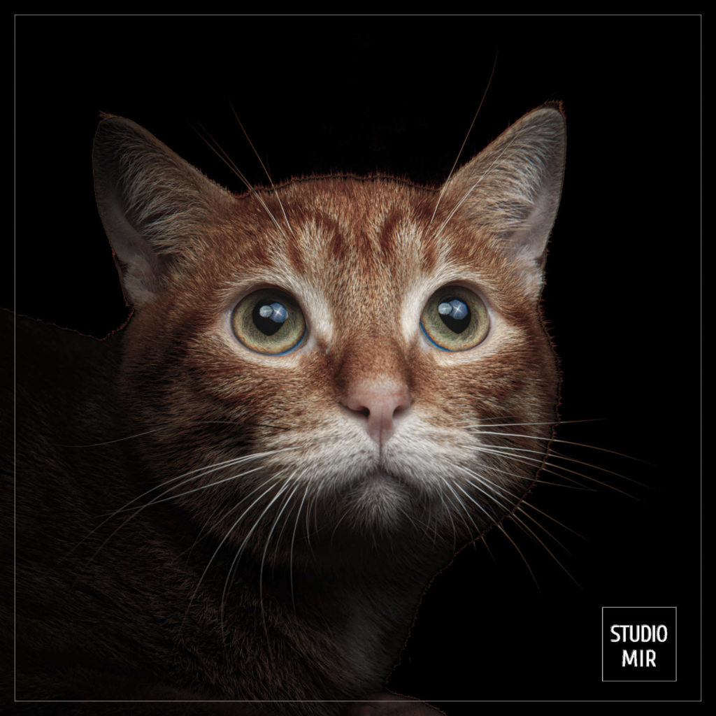 studio-ph-oto-portrait-mir-moley-61-1024x1024